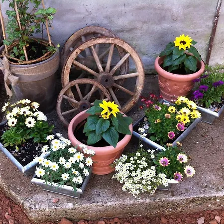 Auszeit Burgschwalbach